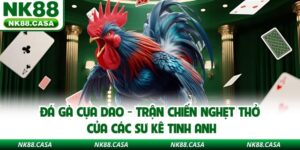 Đá Gà Cựa Dao - Trận Chiến Nghẹt Thở Của Các Sư Kê Tinh Anh