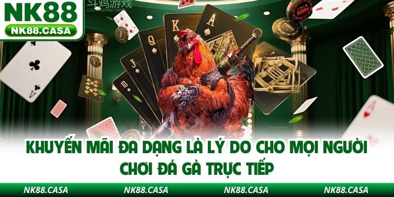 Khuyến mãi đa dạng là lý do cho mọi người chơi đá gà trực tiếp