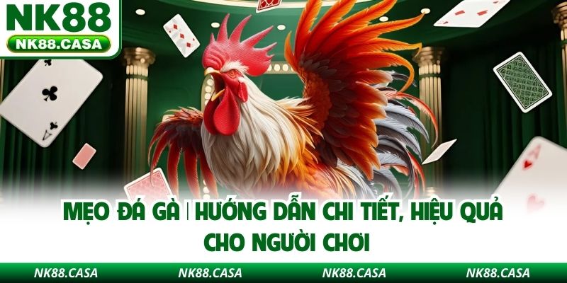 Mẹo Đá Gà | Hướng Dẫn Chi Tiết, Hiệu Quả Cho Người Chơi