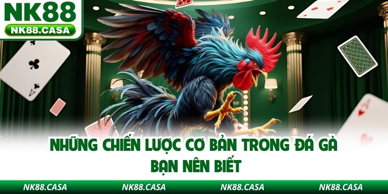 Những chiến lược cơ bản trong đá gà bạn nên biết