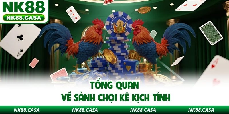 Tổng quan về sảnh chọi kê kịch tính